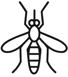 by-numbers-bugs.png